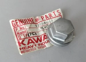 FABRICANTE DE EQUIPOS ORIGINALES KAWASAKI ENCHUFE DE ACEITE NUEVO 92066-066 KZ440 KZ650 KX125 KZ650 KZ550 KZ750 18 X 9 - Imagen 1 de 10
