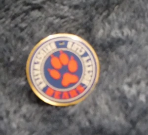 BRIDGEWATER BEAR  HOCKEY CLUB  PIN VINTAGE  - Flemington, NJ - Picture 1 of 2