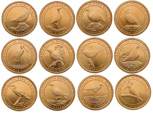 TURCHIA SET DI 12 MONETE 1 KURUS 2020 UCCELLINI OTTONE 16,5mm UNC - Foto 1 di 2