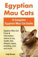 Egyptian Mau Cats: Egyptian Mau Cat Facts & Information, where to bu - Very Good
