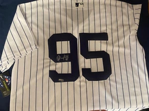 OSWALDO CABRERA SIGNIERT NY YANKEES TRIKOT STEINER IM ANGEBOT - Bild 1 von 6