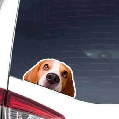 Peeking Beagle Car Sticker / Realistic Dog Head Vinyl Waterproof Removable Decal - Image 1 of 4
