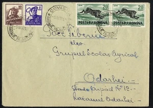 ROMANIA 1956 cover with RABBIT, IEPURE, NYUL @ from Covasna - Picture 1 of 2