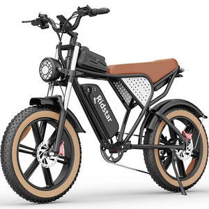 Q20 1500W 48V 20Ah Battery 20''Fat Tire Mountain Electric Bike for Adult - Picture 1 of 6
