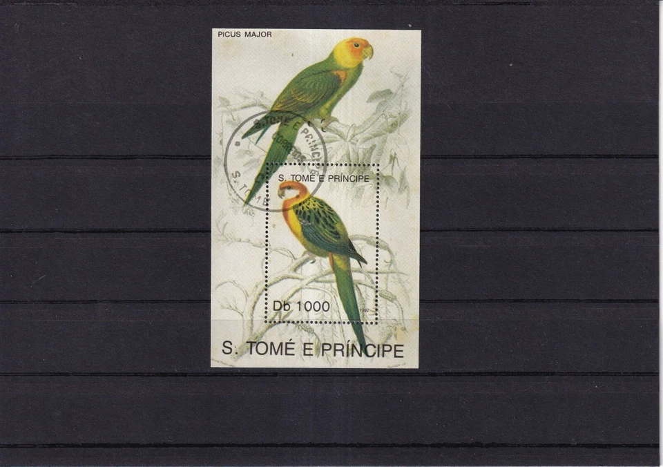 SA53b Santo Tomé y Príncipe 1992 loros aves minishoja usada Foto 1 de 1