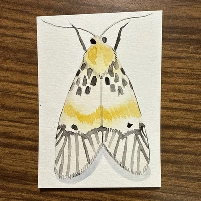 Picasso Moth Watercolor Painting Aceo OOAK Original Signed By The Artist - Image 1 of 3