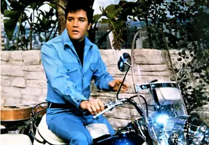 ELVIS - IMÁN FOTO FRIGORÍFICO - Imagen 1 de 3