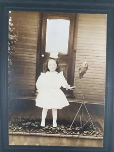 Niña con loro mascota en el porche, fotografía montada en 1910 - Imagen 1 de 3
