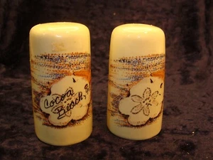 COCOA BEACH FLORIDA~ SALT AND PEPPER SHAKERS~ 3”~ Good Condition ~ - Picture 1 of 6