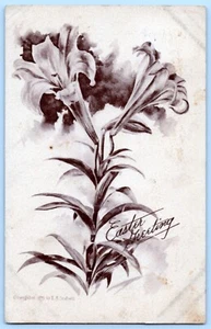 Postcard c1909 Artist E.B. Scofield Easter Lillies   #C11 - Picture 1 of 2