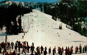 STEVENS PASS, WASH. SKIING POSTCARD Intermediate Hill, Poma Lift & Line, Moguls - Picture 1 of 2