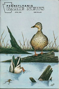 Pennsylvania Game News APRILE 1995 copertina di Linda Steiner mallard fondo in su - Foto 1 di 3