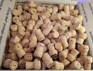 Natural Champagne Corks LOT OF 300 Assorted Large Crafts Projects Cork Crafting - Picture 1 of 2