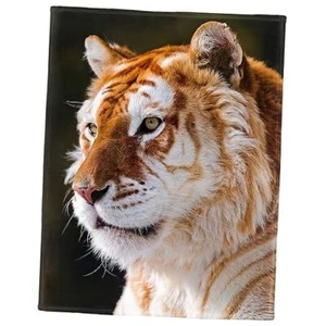 60"x80" Golden Tiger Blanket Animal Print Soft Fuzzy Plush Fleece 60" x 80" - Picture 1 of 8