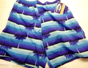 Quiksilver Volley-Mens Boardshorts Swim Surf Trunks, Large 30, Blue, NEW w/ Tags - Picture 1 of 5