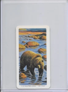 1973 Grizzly National Wildlife Federation The Arctic Card #32 Series 16 - Picture 1 of 2