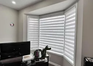 window blinds shades - Picture 1 of 4