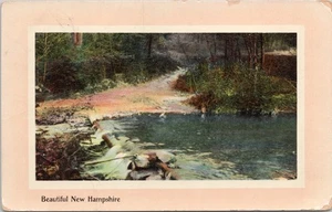 Vintage Postcard Beautiful New Hampshire Water, Trees, Nature 1911 - Picture 1 of 2