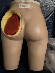 Nasco Life LF957UA Form Klistier Verwaltung Simulator Krankenpflege Trainer Box - Bild 1 von 8