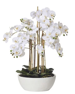 Rogue Artificial Butterfly Orchid Flower Fake Potted Plant Home Decor 80x83cm - Picture 1 of 2