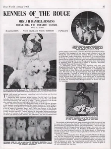 BULLMASTIFF DOG BREED KENNEL ADVERT PRINT PAGE "OF THE ROUGE" DOG WORLD 1963 - Picture 1 of 1