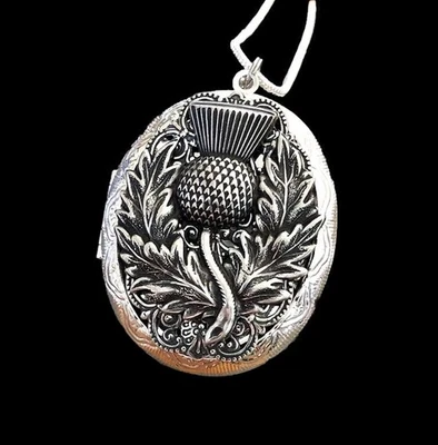 Collar medallón de cardo pastillero escondite colgante celta, cadena de plata de ley 925 Foto 1 de 4