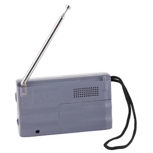 Silber Grau AM FM Radio Lange 5W Lautsprecher Dauerhafte Tragbare Tasche HY - Bild 1 von 22