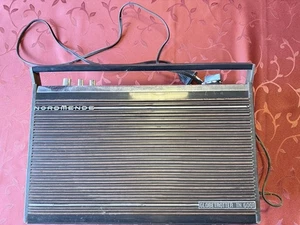 RARITIÄT Nordmende Globetrotter TN 6001 - Bild 1 von 7