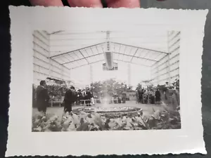 Foto serra piante botaniche 1939 - Foto 1 di 3