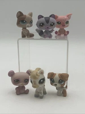 Littlest Pet Shop Vintage LPS Lote Mixto de 6 #1622 899 1709 1363 1093 2205 Perro Foto 1 de 4