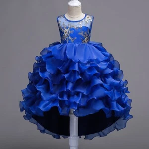 Girls Princess Flower Wedding Christmas Party Elegant Vestidos for 3-15Years - Picture 1 of 20