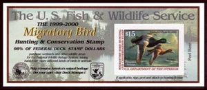 RW66A — 1999 Federal duck stamp - Picture 1 of 1
