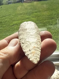 Bodenbasis Paleo Lanze 3,3/8" gefunden in VanBuren Co IA von Gary Nelson Q295 - Bild 1 von 7