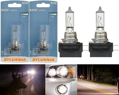 Sylvania Basic H11B 55W Two Bulbs Head Light Low Beam Replacement OE Stock Lamp - Image 1 of 4