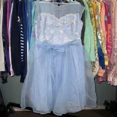 Disney Parks Cenicienta Cosplay Vestido Bordado Tienda Vestido XL Foto 1 de 4