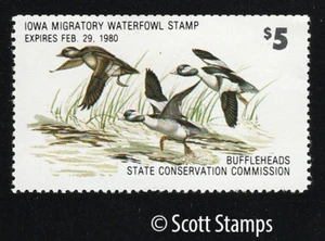 IA8 1979 Iowa Duck Stamp - MNH - Buffleheads - Artist: Andrew Peters - Picture 1 of 1