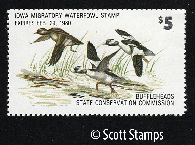IA8 1979 Iowa Duck Stamp - MNH - Buffleheads - Artist: Andrew Peters - Image 1 of 1