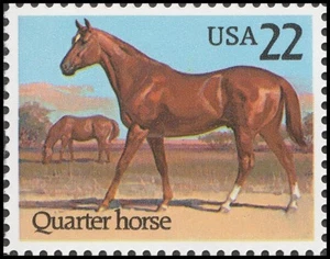US 2155 American Horses Quarter Horse 22c single MNH 1985 - Picture 1 of 1