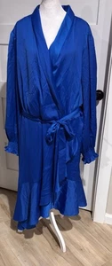 Taylor hellblaues Kleid mit Gürtel Größe 24W UVP 100 $ - Bild 1 von 6