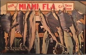 Miami FL ~ A Day’s Catch Pier 5 City Yacht Basin ~ cartolina di lino ~ pesca - Foto 1 di 2