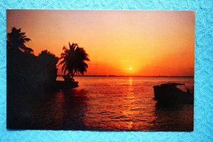 Florida Sunset - Imagen 1 de 2