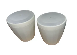 JBL Professional Control 60 Series 65P/T-WH Speaker Pairs Full Pendant White - Picture 1 of 3