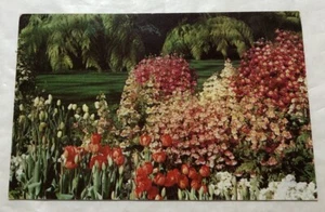 Longwood Gardens, Kenneth Square, Pennsylvania. Postcard (B3) - Picture 1 of 2