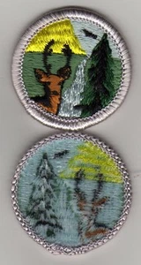 Conserv. of Natural Resources (Silver) Merit Badge Typ H, Plastic Back (1972-73) - Picture 1 of 1