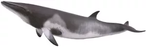 Collecta Wildlife Model 88862 - Minke Whale - Picture 1 of 1