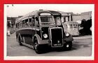 London Bus Photo ~ Rye Hill Park Coaches Vmk828 - 1950 Duple Leyland Tiger Ps1/1