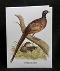 MisterBcards 12 Antique Pheasant Notelets (75x105mm) with White C7 Envelopes