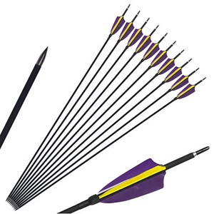 30'' Archery Carbon Arrows Real Feather Compound/Recurve Bow Hunting Arrows - Picture 1 of 24