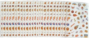 1000+ Basketball Stickers Lot Basketball Theme Kid Decals (25 Sheets) NEW - Picture 1 of 12