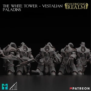 Diverging Realms - White Tower Guard Custodians - Vestalian Paladins x 6 - Picture 1 of 4